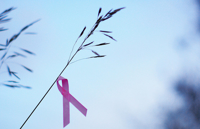 breast cancer ribbon on grass stalk